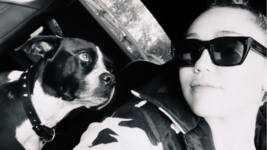 Miley Cyrus ao lado da cadela Mary Jane - Reprodução/Instagram