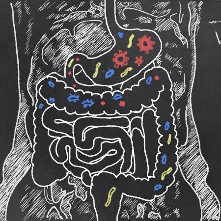 Nossa microbiota se modifica de acordo com a nossa alimentação - Getty Images