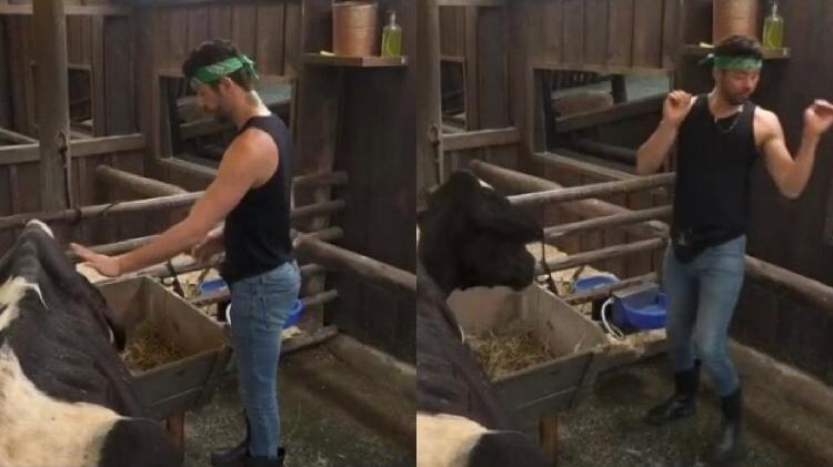 A Fazenda 2021: Rico leva susto de vaca - Reprodução/PlayPlus - Reprodução/PlayPlus