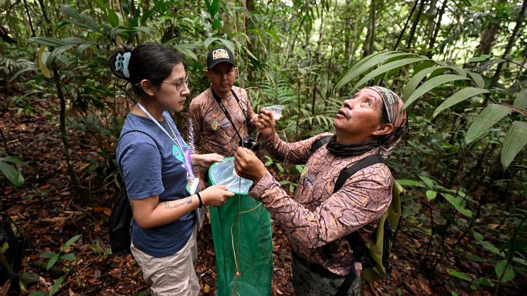 A estudante de biologia Mikaela Pavon (E) e os guardas florestais Nilo Riofrio (C) e Guido Alulima instalam uma armadilha de borboletas na protegida floresta amazônica de Cuyabeno, no Equador