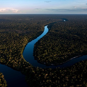 Amazônia é menos importante do que os bancos para o futuro da humanidade?