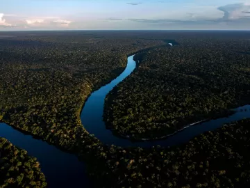 Amazônia é menos importante do que os bancos para o futuro da humanidade?