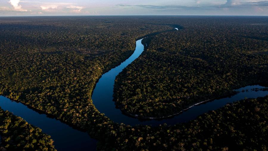 Vista aérea do rio Manicoré, no coração da floresta amazônica, no estado do Amazonas