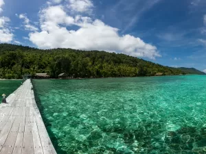 Paraíso ameaçado contrasta poluição plástica e resiliência ambiental