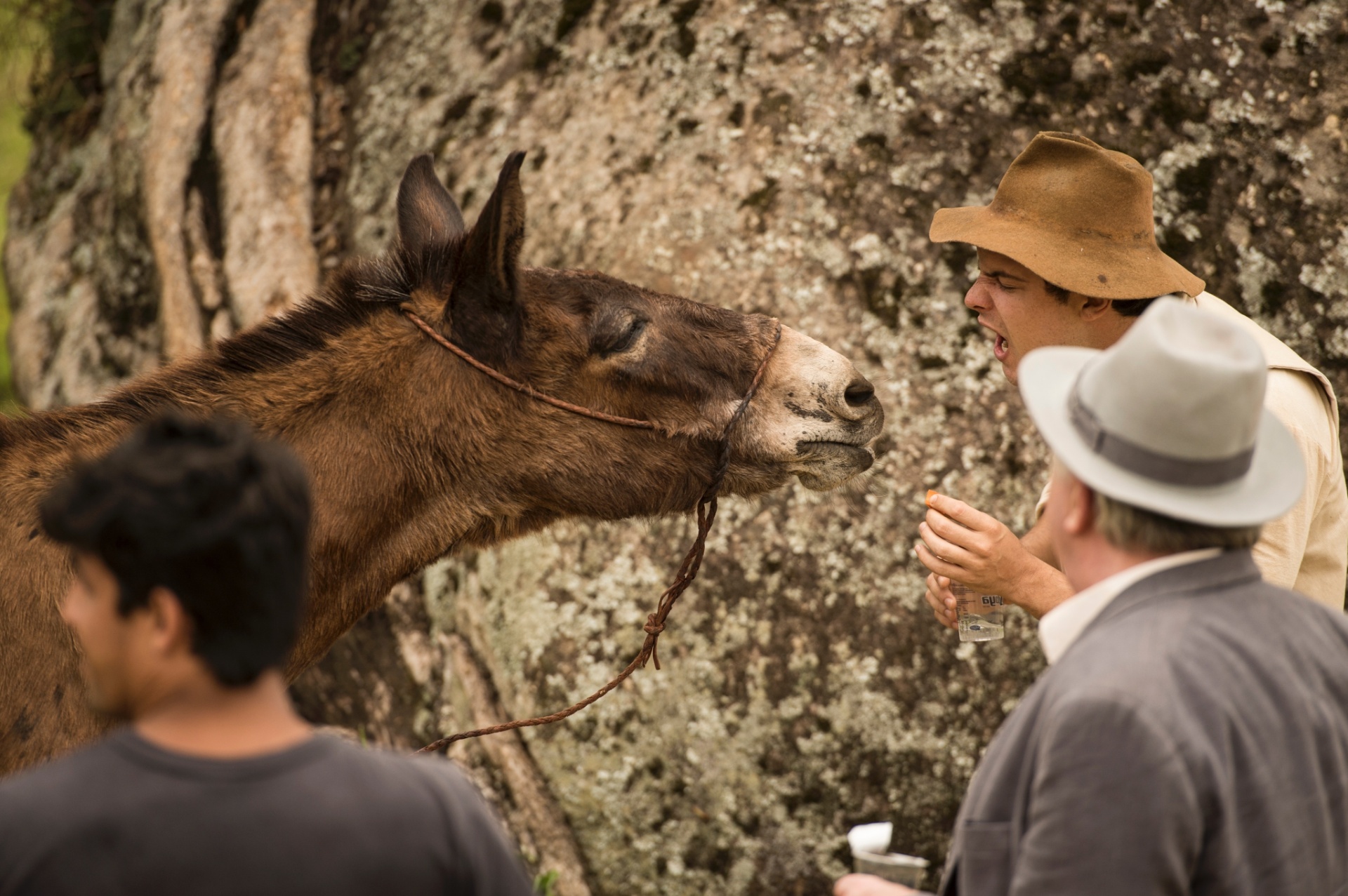 Das vantagens de ser uma estrela: nos bastidores de "Êta Mundo Bom", Juca é paparicado por seu "coadjuvante" Sergio Guizé e ganha cenouras - João Cotta/Globo