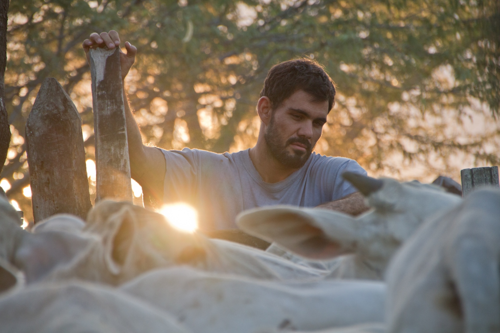 Cena do filme "Boi Neon" (2015) - Reprodução