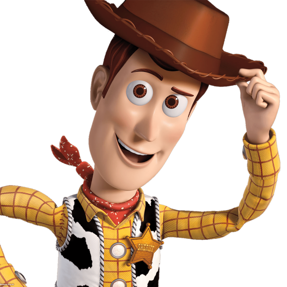 Woody de toy discount story