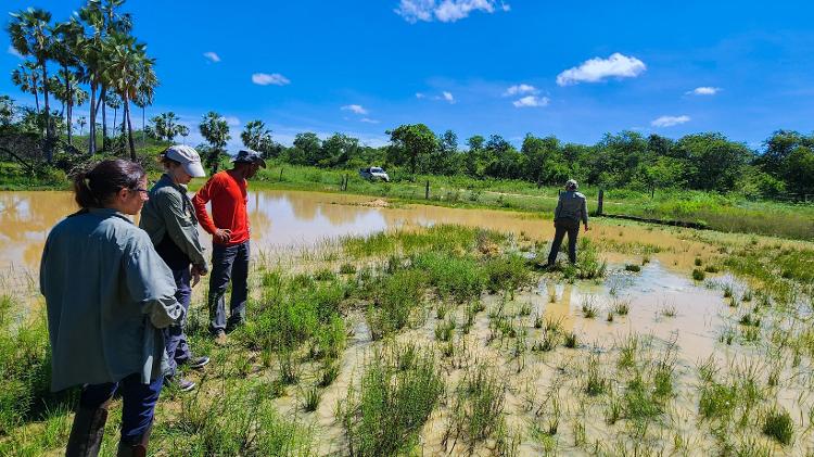 Pesquisadores do Incab em expedição de busca por indícios de anta na Caatinga Pesquisadores do Incab em expedição de busca por indícios de anta na Caatinga