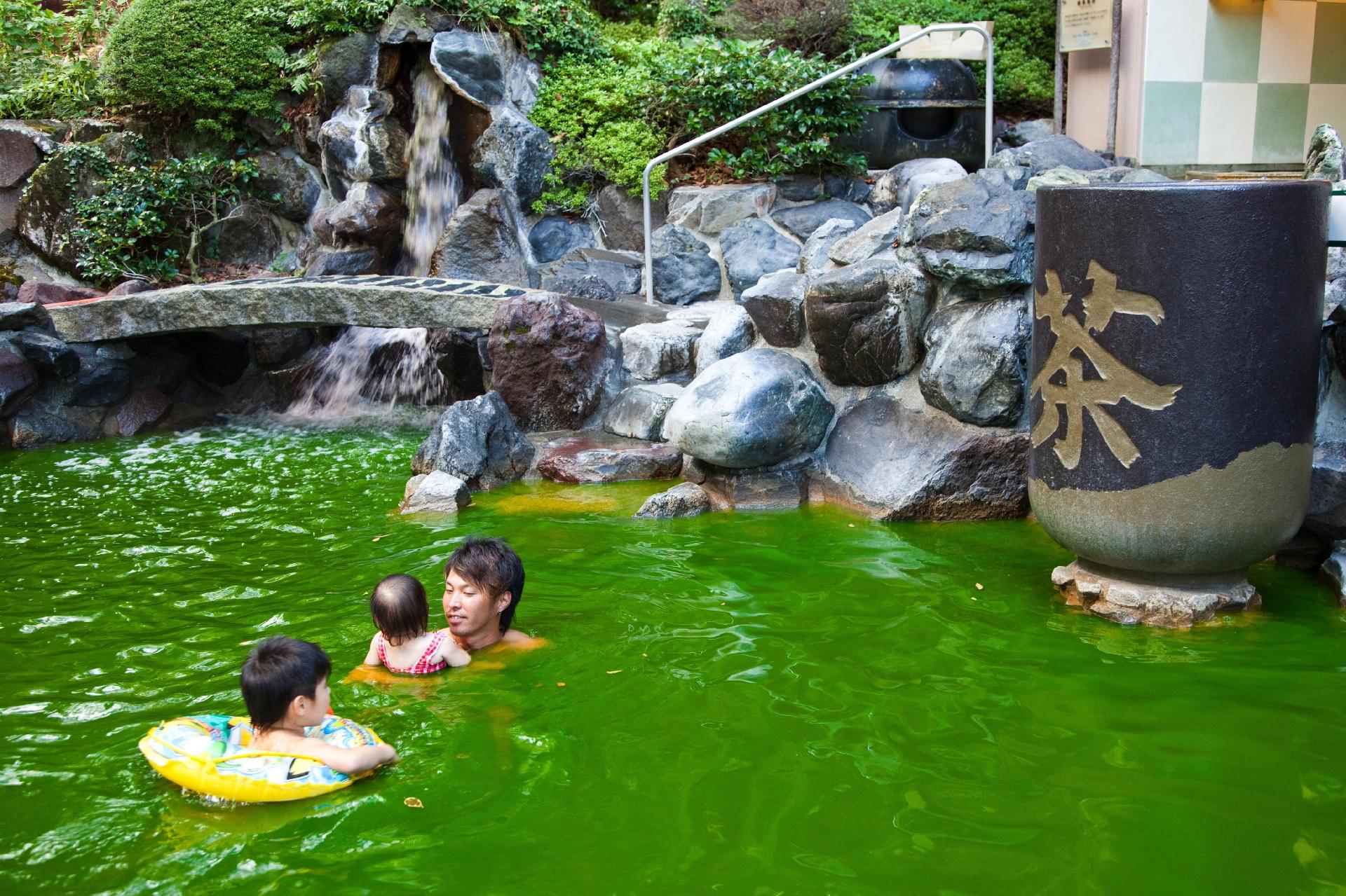 Parque temático que permite caçar pokémons de verdade na floresta faz  sucesso no Japão