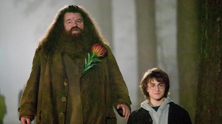 Daniel Radcliffe e Robbie Coltrane contracenaram como Harry e Hagrid em todos os filmes 'Harry Potter'