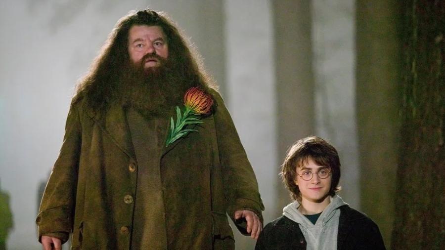 Daniel Radcliffe e Robbie Coltrane contracenaram como Harry e Hagrid em todos os filmes "Harry Potter" - Divulgação