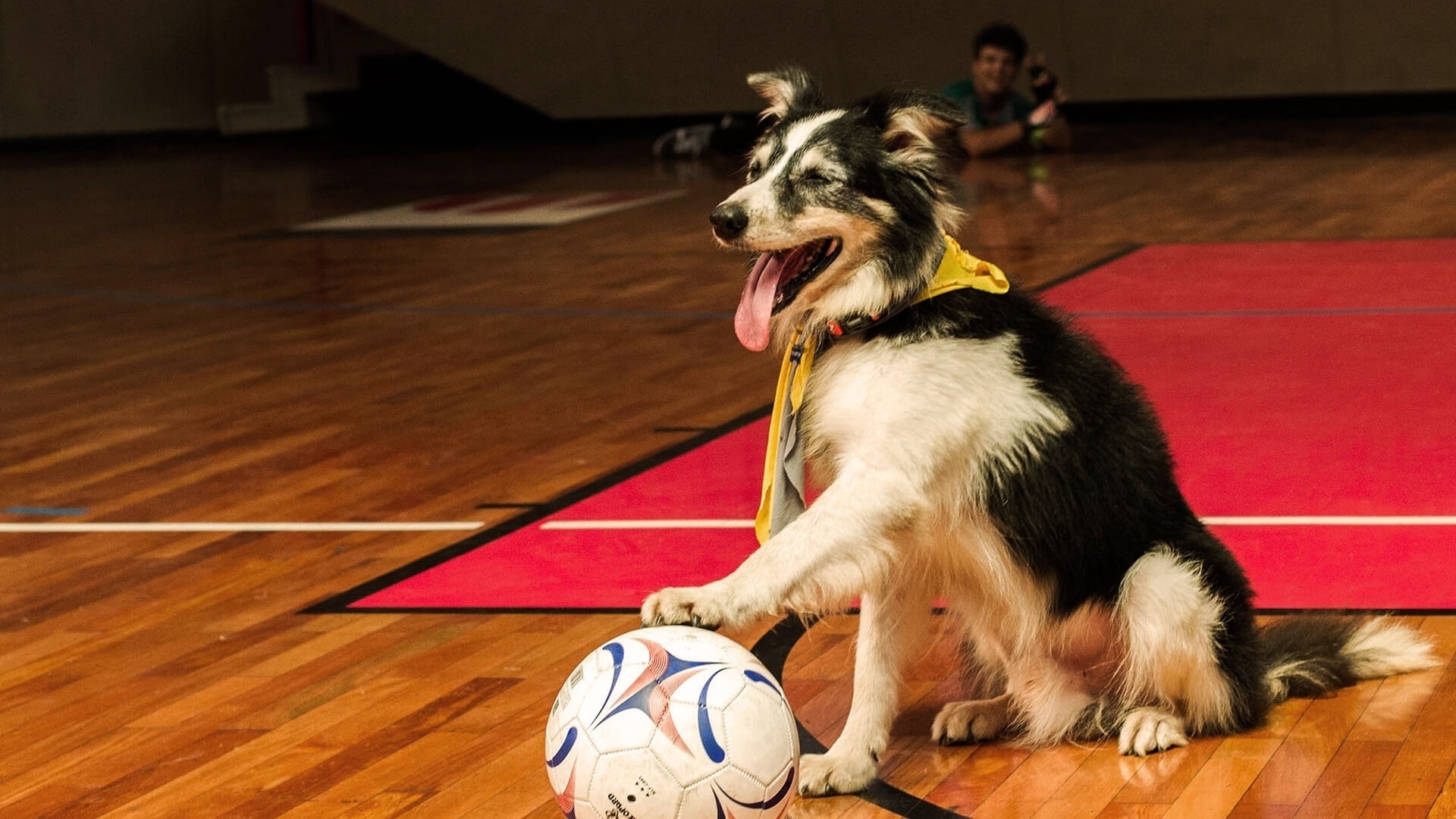 Cena do filme "Carrossel 2 - O Sumiço de Maria Joaquina" - Divulgação