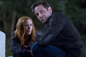 O astro de "Arquivo X" David Duchovny decidiu se internar para controlar o impulso de acessar sites pornográficos