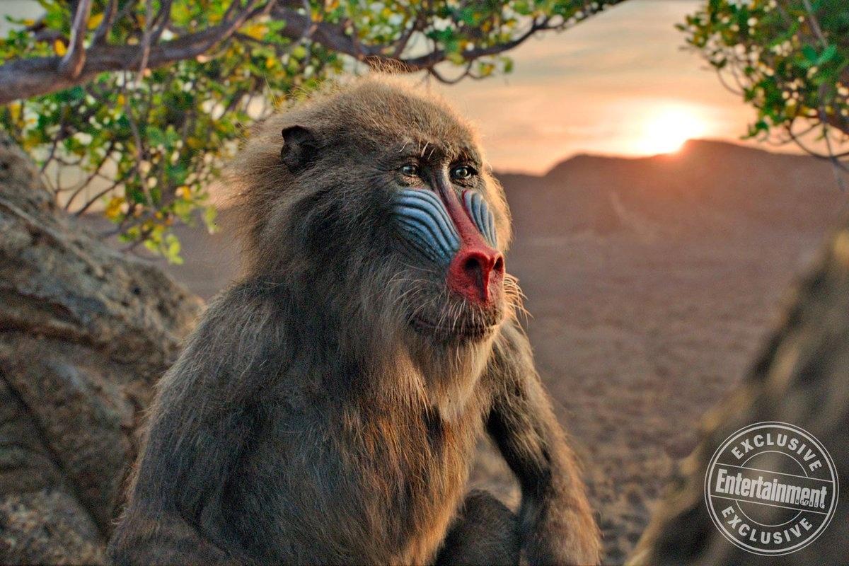 Novas fotos de "O Rei Leão" - Divulgação/EW