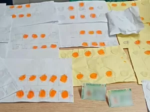 Polícia apreende 700 dedos de silicone para fraudar CNH em autoescola de SP