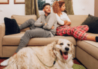 Guarda compartilhada de pets no divórcio: entenda como funciona a nova lei