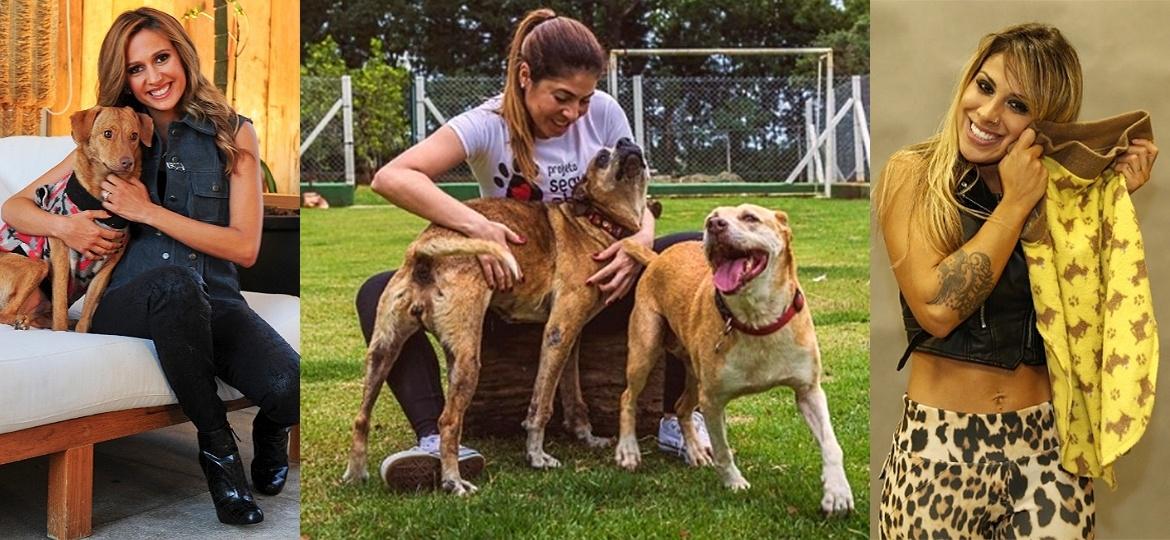 Luisa Mell, Fernanda Barros e Vanessa Mesquita, ativistas pelos direitos dos animais - Junior Lago/UOL, Marta Lopez Fotografia e Felipe Assumpção e Leo Marinho/AgNews