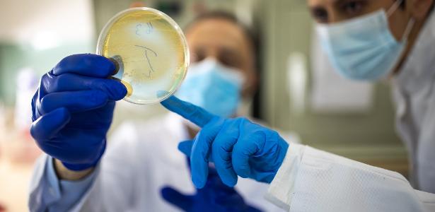 O que são superbactérias e o que fazer para evitar uma 'pandemia' delas?