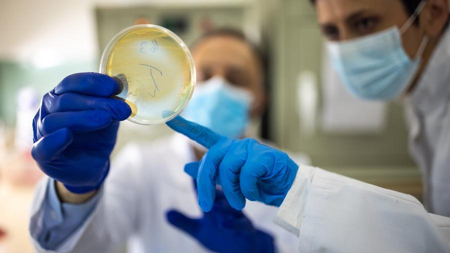 Especialistas citam pandemia das superbactérias; problema é mundial - iStock