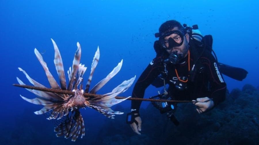O mergulhador Fernando Rodrigues com um peixe-leão capturado em Noronha: "A gente já chegou a ver oito peixes-leão em um único mergulho" - Divulgaçao/Fernando Rodrigues/Sea Paradise