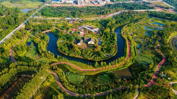 Esponja urbana em Chengdu, na província chinesa de Sichuan