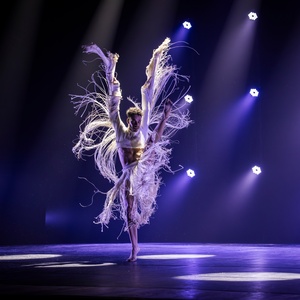No palco