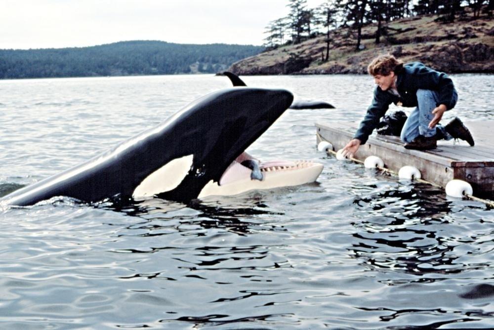 Jason James Richter e a orca Keiko em "Free Willy 2 - A Aventura Continua" (1995) - Divulgação