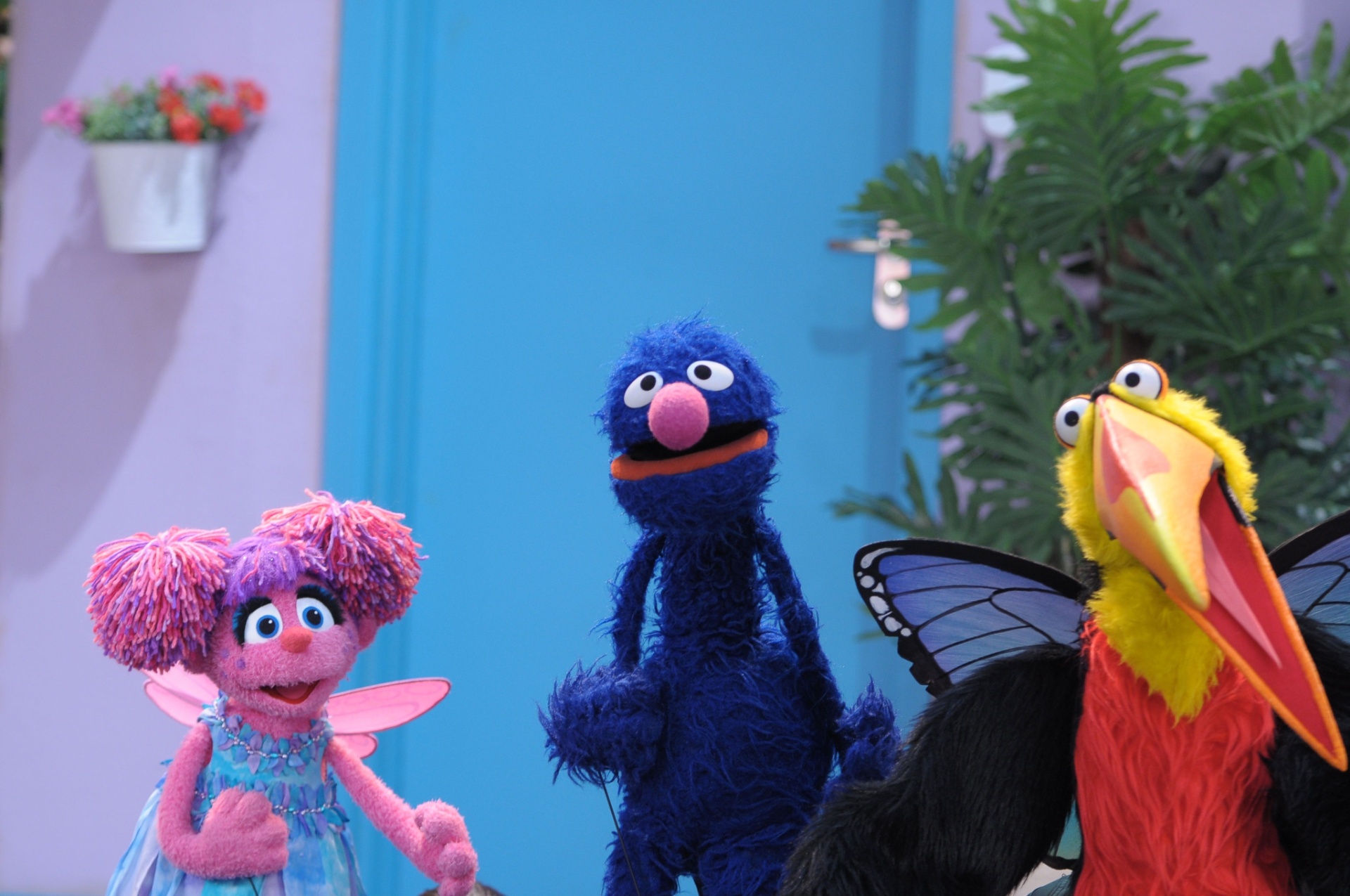 Abby e Grover em nova versão do clássico infantil "Vila Sésamo", rebatizado para "Sésamo" - Jair Magri/TV Cultura