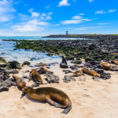 Ilhas Galápagos, no Equador - Getty Images/iStockphoto