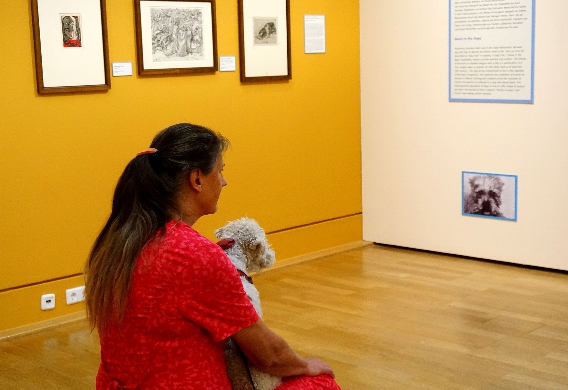 Donos que não podem deixar animais sozinhos em casa apreciaram a oportunidade  - Clarissa Neher/BBC