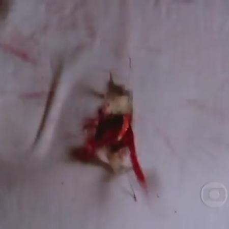 Pedro é baleado em cena cortada de "Belíssima" - Reprodução/TV Globo - Reprodução/TV Globo