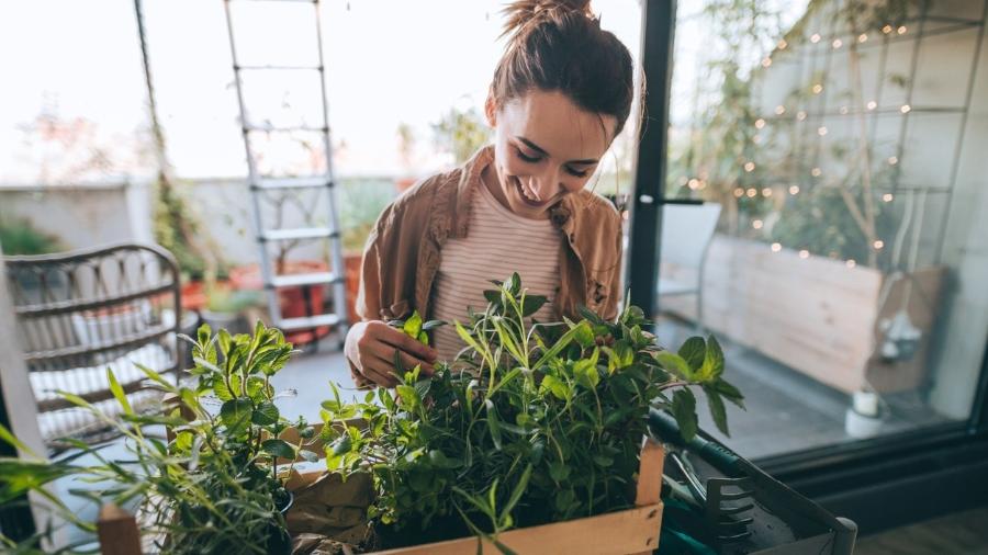 Com coragem, nascem os jardineiros apaixonados, os paisagistas mais criativos e os amantes das plantas que se inspiram na natureza para cuidar melhor de seu jardim - Getty Images