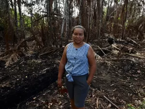 Moradores da Amazônia Legal exigem fim das queimadas