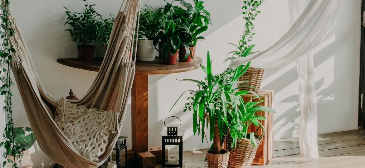 Plantas que não precisam de luz direta são ideais para aqueles cantinhos com mais sombra no apê - iStock