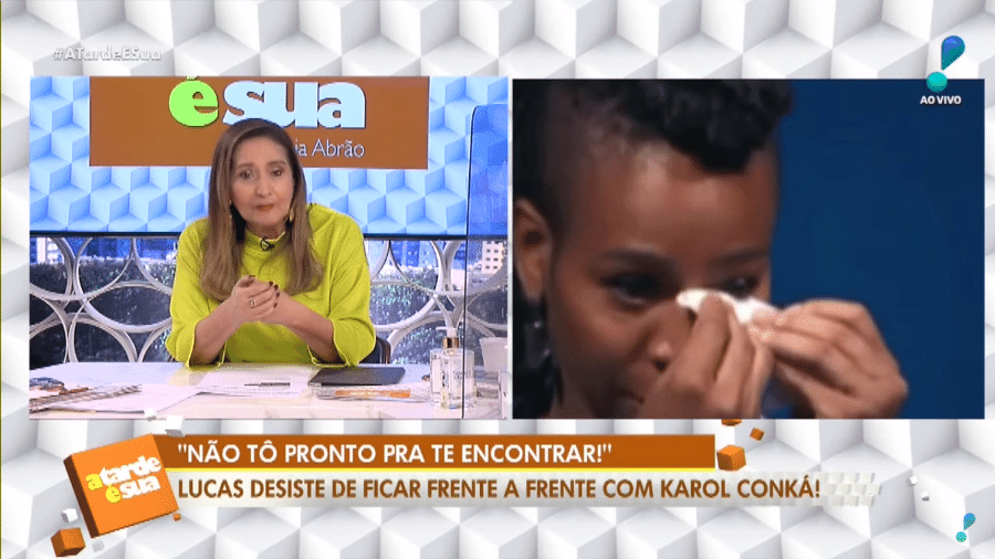 Sônia Abrão falou sobre documentário - Reprodução/RedeTV!