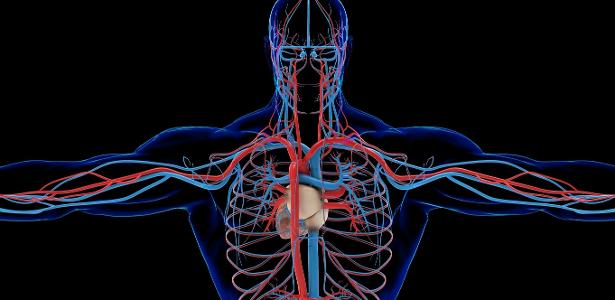 Como proteger os vasos sanguíneos e reduzir o risco cardiovascular