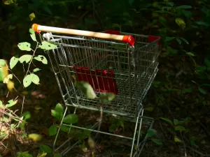 Aumenta busca por produtos sustentáveis, diz pesquisa do Mercado Livre