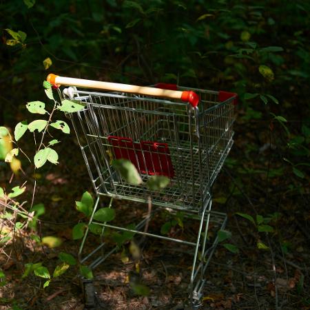 Pesquisa inédita do Mercado Livre revela aumento das tendências de consumo online com impacto positivo