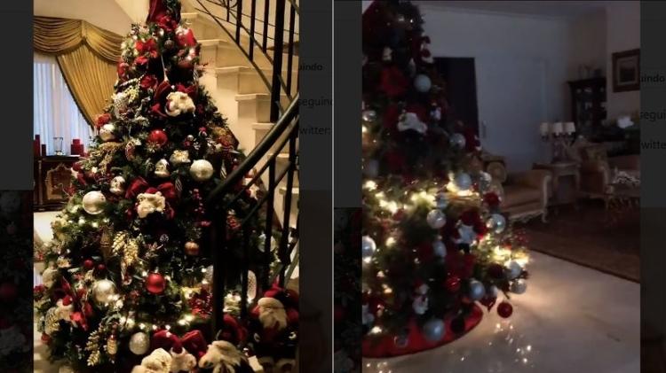 Zilu mostra sua árvore de Natal - Reprodução/Instagram - Reprodução/Instagram