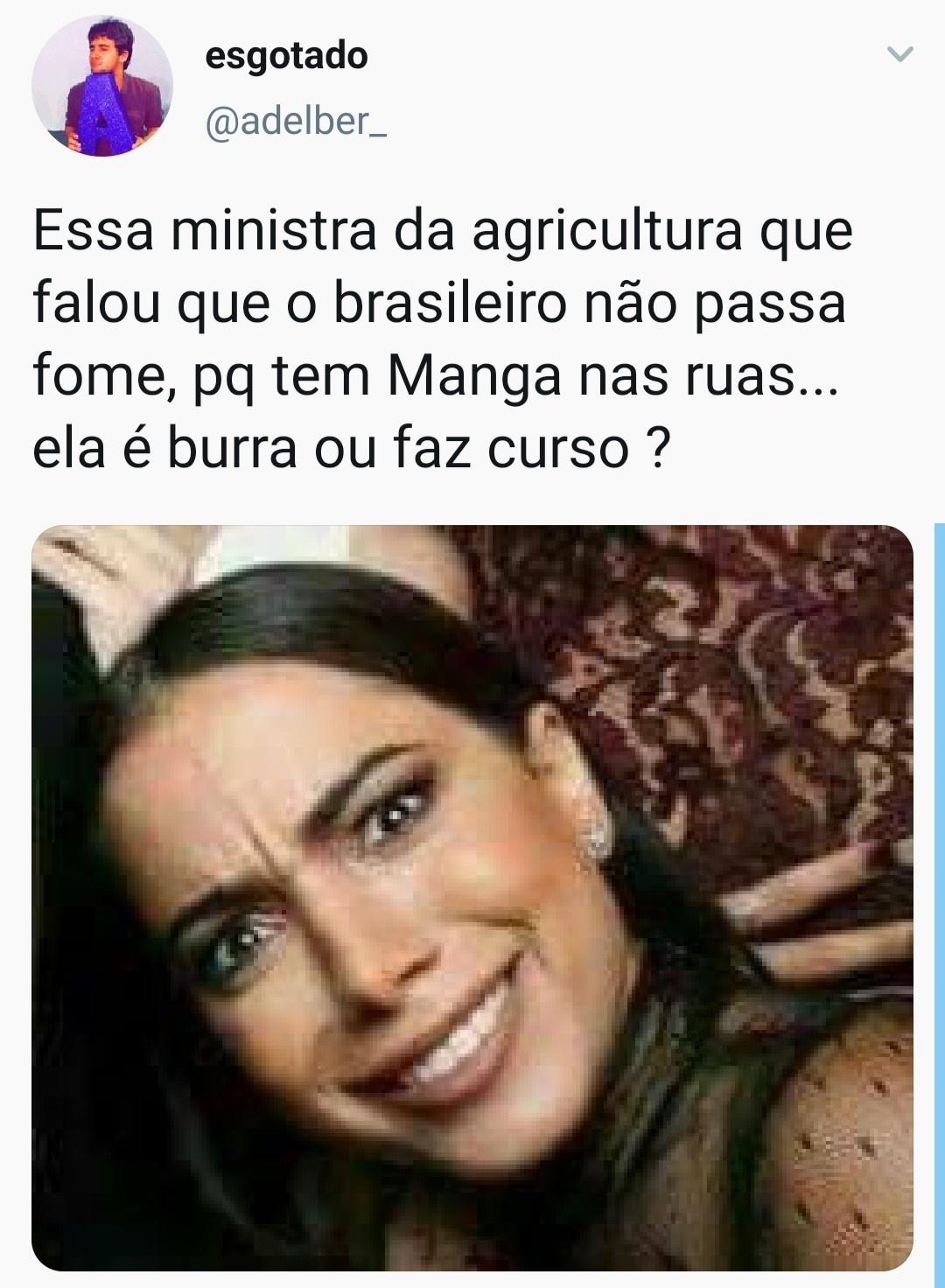 Me manda um meme? (11) 97335-6855 - Reprodução/Twitter