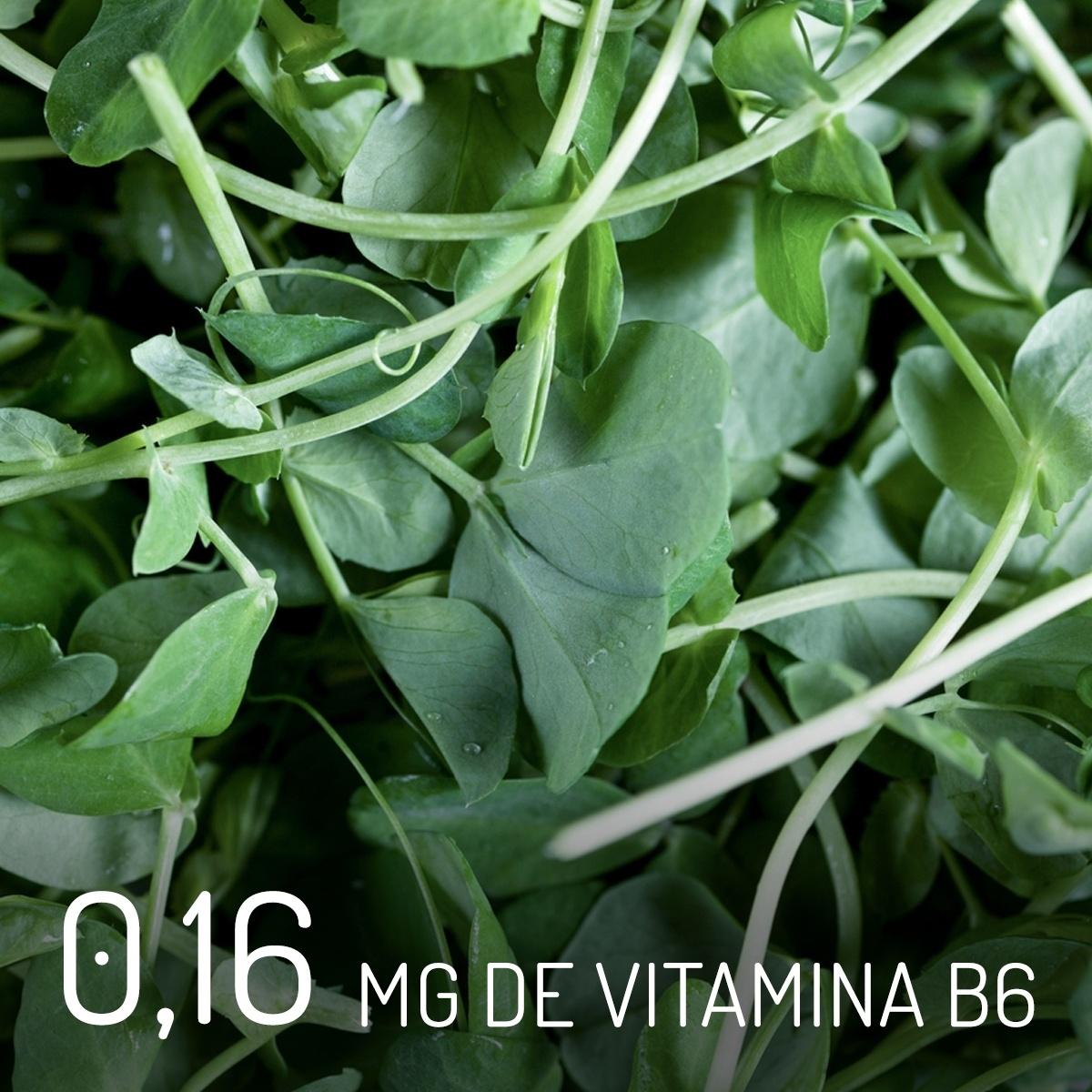 Agrião vitamina B6 - iStock / Arte UOL