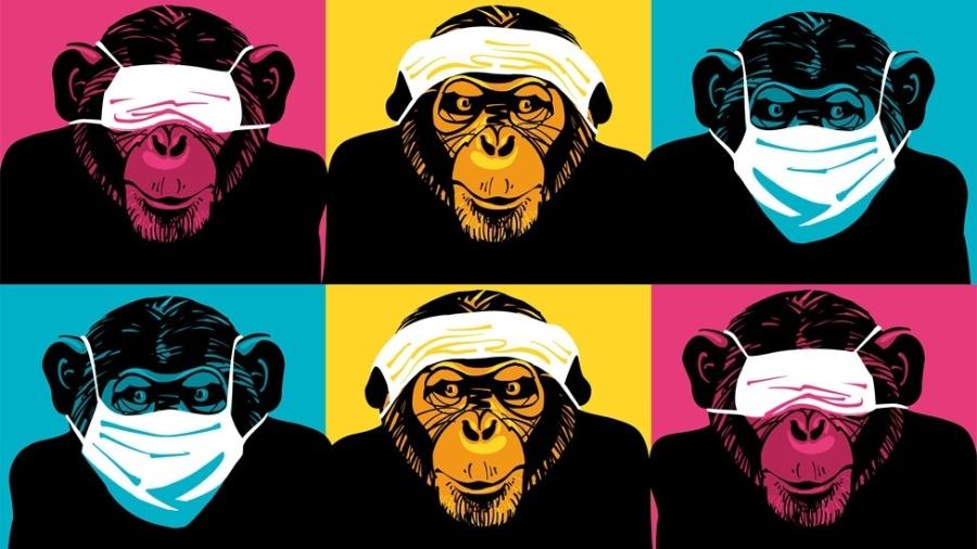 Pesquisas sobre automedicação animal começaram há 35 anos, quando cientista se surpreendeu ao encontrar um chimpanzé mastigando uma planta amarga - Getty Images