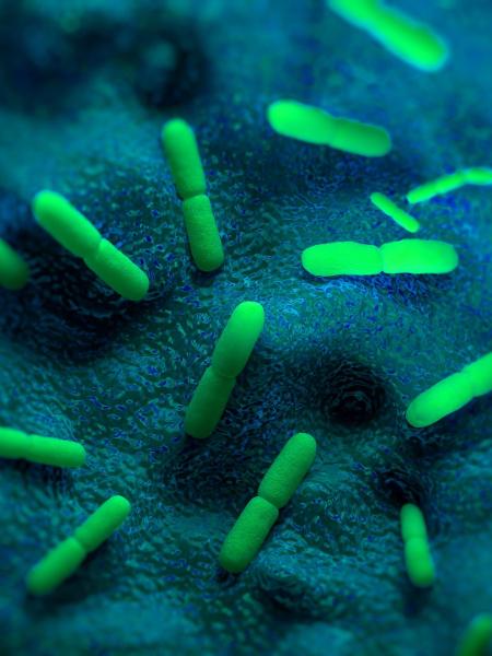 Cientistas suspeitavam de existência de bactéria que come metais - imagem apenas representativa - iStock