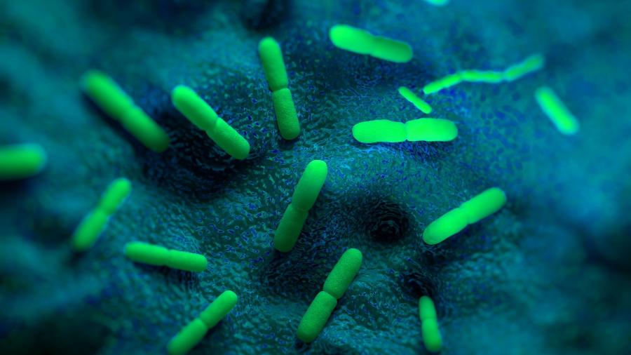 A bactéria Yersinia pestis causa a doença - iStock