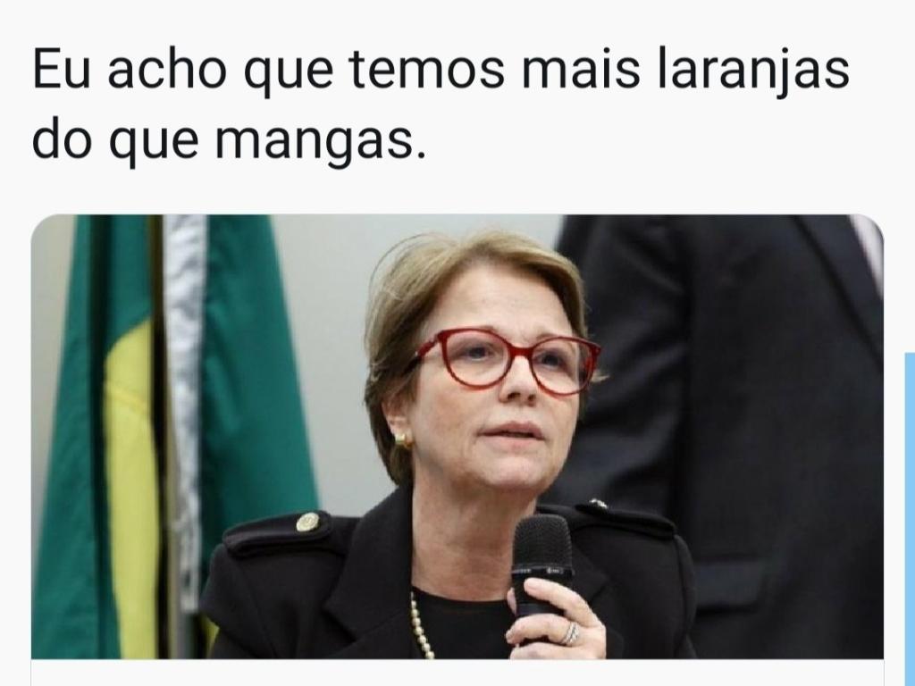 Mande seu meme pelo WhatsApp: (11) 97335-6855 - Reprodução/Twitter