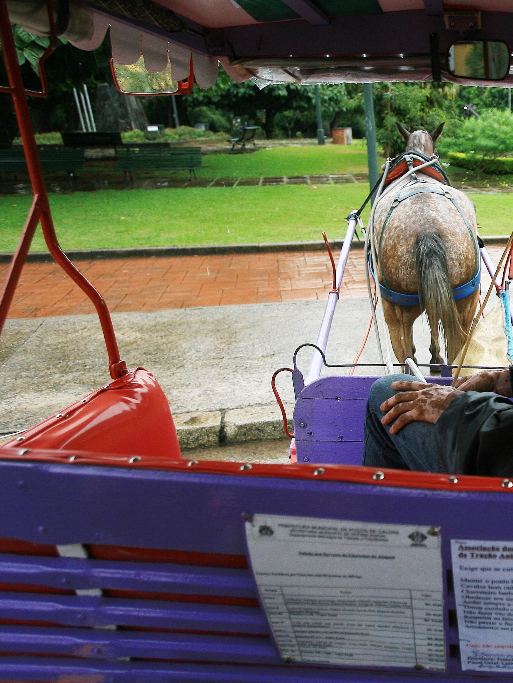 Turismo com charrete de tração animal está com dias contados em Aparecida -  19/06/2019 - UOL Nossa