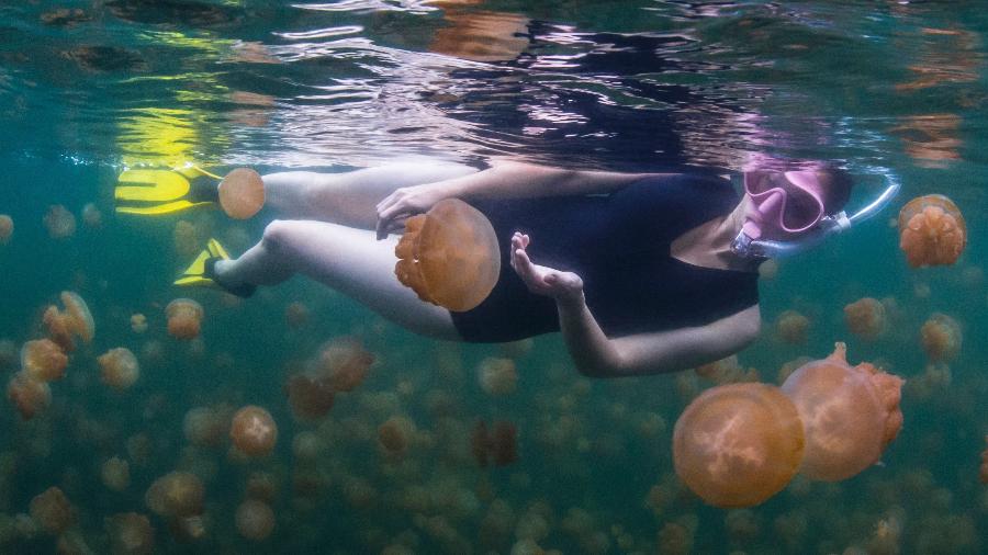 Turistas podem viver esta experiência no paradisíaco arquipélago de Palau - Global_Pics/Getty Images