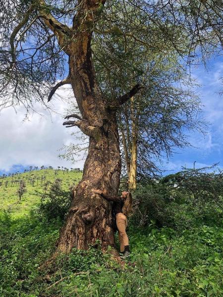 Grazi Massafera abraça árvore na Tanzânia - REPRODUÇÃO/INSTAGRAM