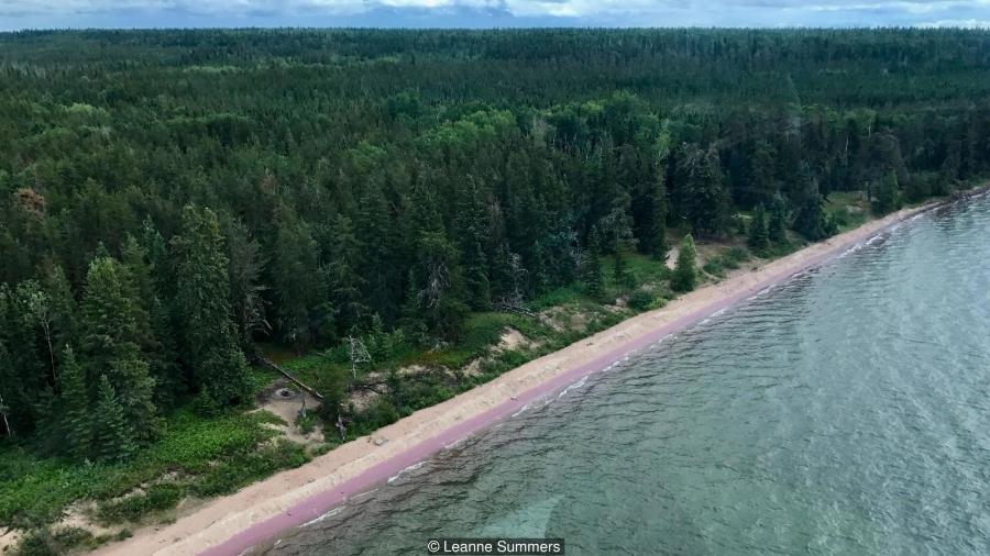A praia de areia roxa ficou famosa no Canadá por sua estrutura geológica peculiar - LEANE SUMMERS