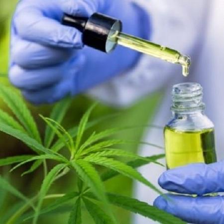 Óleo produzido a partir da cannabis é usado por pacientes com epilepsia, câncer e outras enfermidades graves - Getty Images